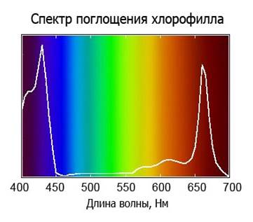 На изображении диаграмма спектра света диода от фитосветильника для растений FitoLed